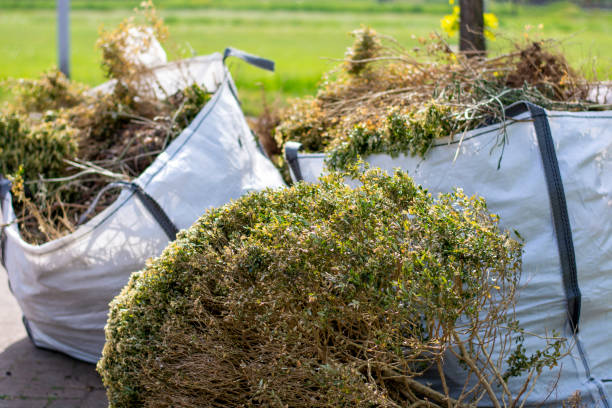 Best Electronics and E-Waste Disposal  in Berkeley, IL